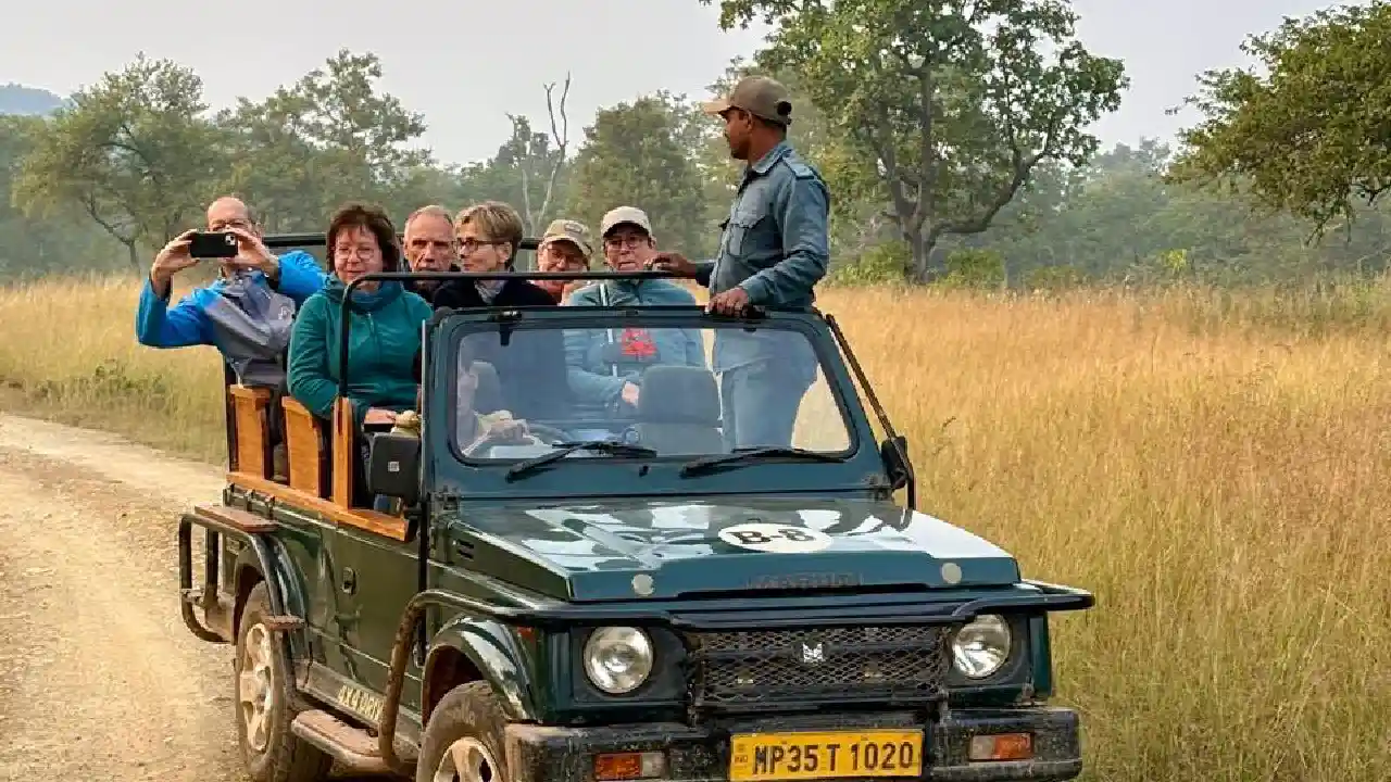 Indien-Tierwelt-Safari-Auto